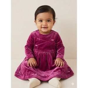 Marks & Spencer Kids Mulberry Purple Velvet Floral Embroidered Dress Age 1.5-2Y